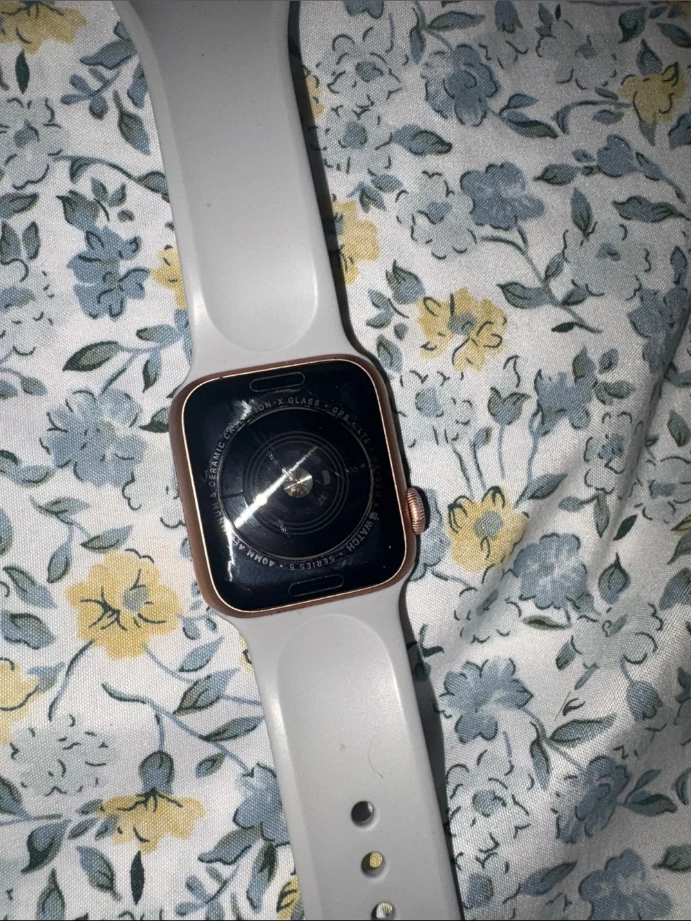 Series 5 Apple Watch